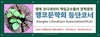 행코교수단, 행코문학으로 정서적 치유를 모색한다