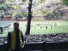 [행코의 제주 탐방1] 삼성혈과 신산공원