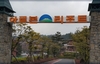 행코들이 제주에 가면 쉴 곳이 있다.