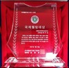 대한민국백백치공연단 박수진 국장, 국제웰빙대상 수상