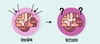 개인정신건강에 도움되는 뇌휴식 시간 갖기 캠페인 시작